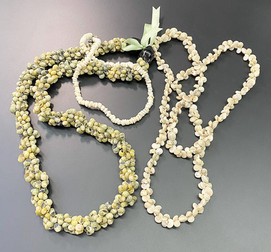 6009-Shell Necklace Lot