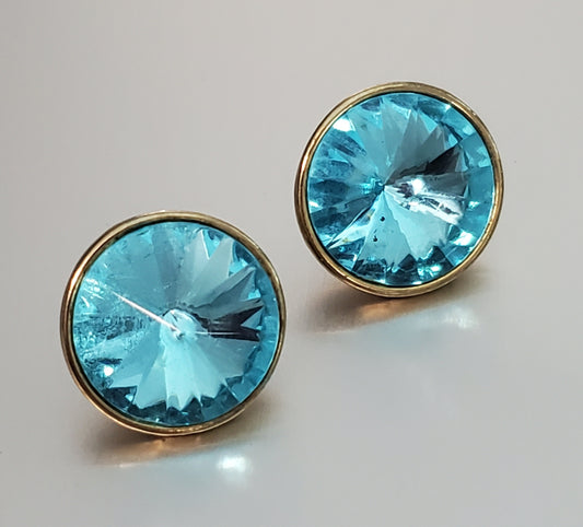 5938-Resin Fashion Earrings